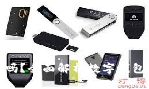 数字钱包好用吗?全面解析数字钱包的优势与劣势
