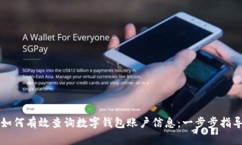 如何有效查询数字钱包账户信息:一步步指导