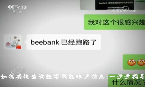 如何有效查询数字钱包账户信息:一步步指导