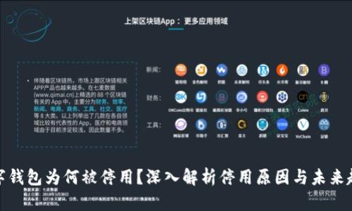 数字钱包为何被停用?深入解析停用原因与未来趋势