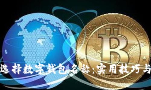 如何选择数字钱包名称:实用技巧与建议