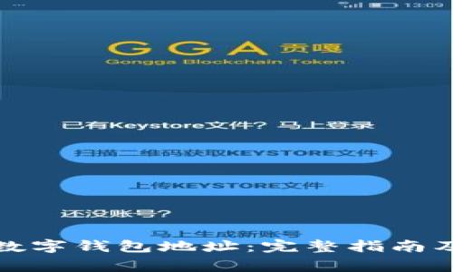 如何查看您的数字钱包地址:完整指南及常见问题解答