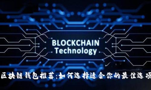 区块链钱包推荐:如何选择适合你的最佳选项
