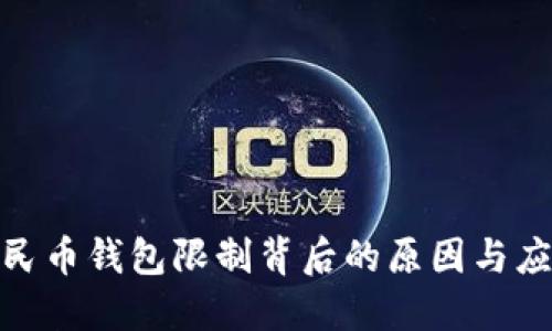 数字人民币钱包限制背后的原因与应对策略