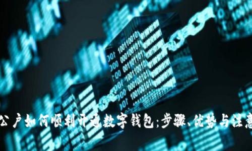 中国公户如何顺利开通数字钱包：步骤、优势与注意事项