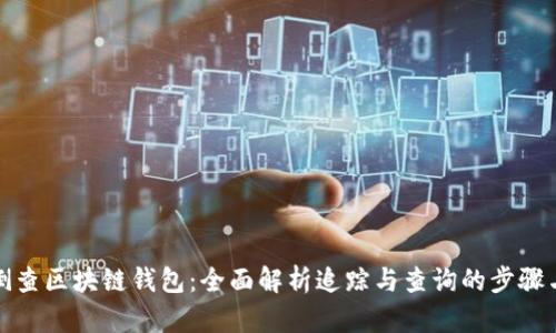 如何倒查区块链钱包：全面解析追踪与查询的步骤与技巧