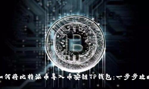 如何将比特派币导入币安链TP钱包：一步步攻略