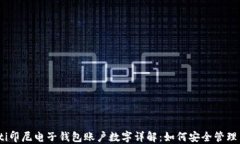 btiaoti印尼电子钱包账户数字详解：如何安全管理