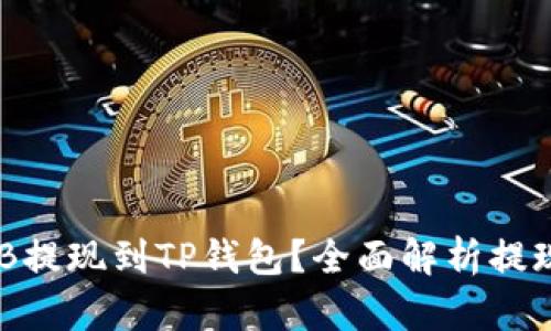 如何将BNB提现到TP钱包？全面解析提现网络选择