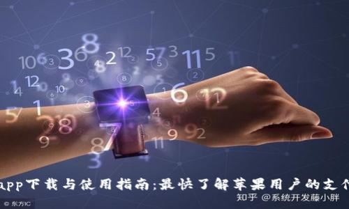 T P 钱包app下载与使用指南：最快了解苹果用户的支付解决方案