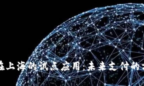 数字钱包在上海的试点应用：未来支付的方向与潜力