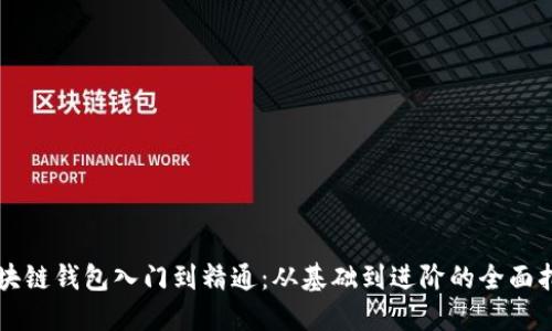 区块链钱包入门到精通：从基础到进阶的全面指南