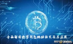 全面解析数字钱包地址格式及其应用