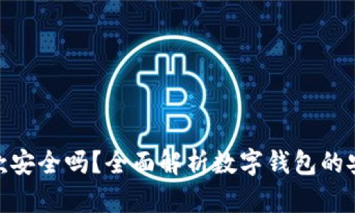 数字钱包提款安全吗？全面解析数字钱包的安全性与风险