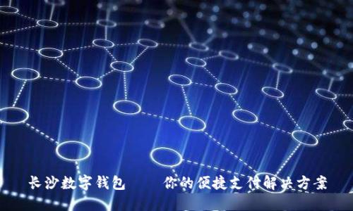 长沙数字钱包——你的便捷支付解决方案