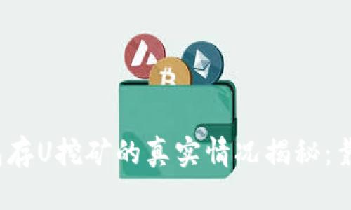TP钱包存U挖矿的真实情况揭秘：靠谱吗？