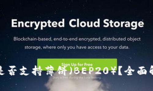 : TP钱包是否支持薄饼（BEP20）？全面解析与指南