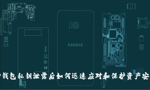 TP钱包私钥泄露后如何迅速应对和保护资产安全