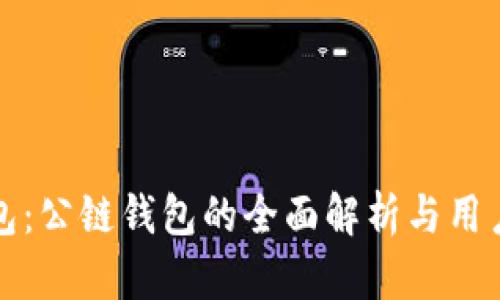 TP钱包：公链钱包的全面解析与用户指南