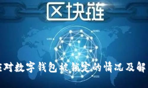 如何应对数字钱包被锁定的情况及解决方法