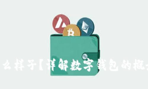 数字钱包是什么样子？详解数字钱包的概念、种类与应用