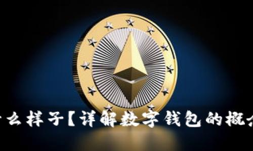 数字钱包是什么样子？详解数字钱包的概念、种类与应用