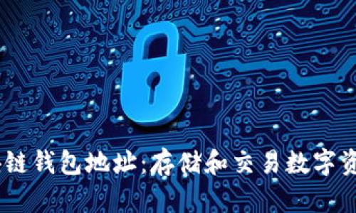 深入了解Omni区块链钱包地址：存储和交易数字资产的安全解决方案