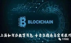 上海如何办数字钱包：全方位指南与实用技巧