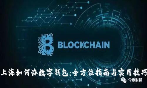 上海如何办数字钱包：全方位指南与实用技巧