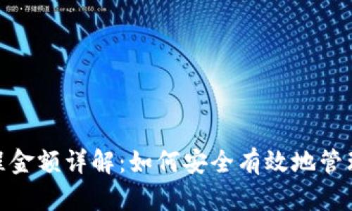 数字钱包流程金额详解：如何安全有效地管理和转移资金