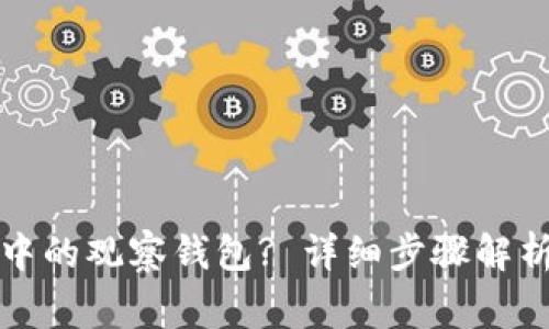 如何查看TP钱包中的观察钱包? 详细步骤解析与常见问题解答