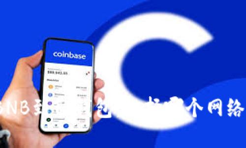 提取BNB到TP钱包：选择哪个网络最优？