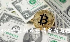 TP钱包BSC发行的币行情分析与投资指南