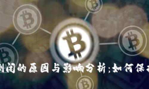 数字钱包平台倒闭的原因与影响分析：如何保护您的数字资产