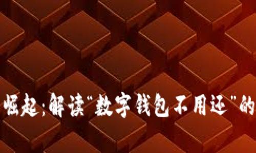 数字钱包的崛起：解读“数字钱包不用还”的真相与未来