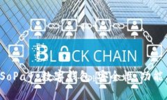 全面解析 SoPay 数字钱包：安全性、功能及使用指