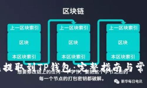 如何将美元提取到TP钱包：完整指南与常见问题解答