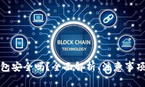 数字货币钱包安全吗？全面解析、注意事项与安全指南