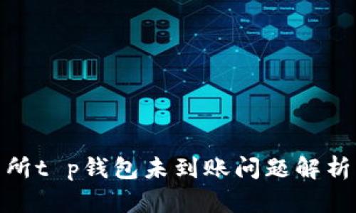 : 抹茶交易所t p钱包未到账问题解析及解决方案