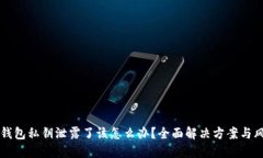 如果TP钱包私钥泄露了该怎么办？全面解决方案与