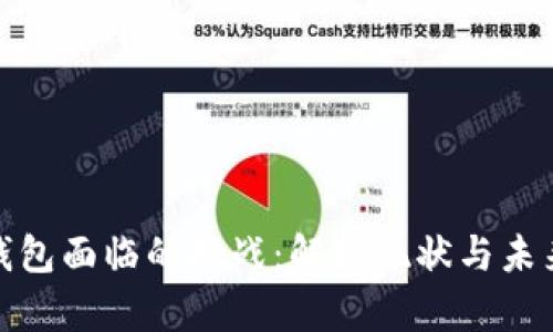 数字钱包面临的挑战：解析现状与未来发展