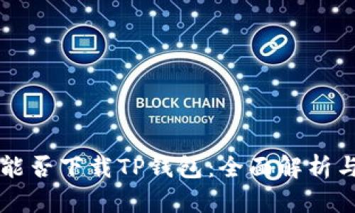 美国用户能否下载TP钱包：全面解析与使用指南