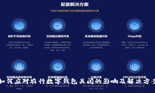 如何应对农行数字钱包关闭的影响及解决方案