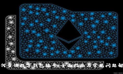 如何查询数字钱包编号：全面指南与常见问题解答