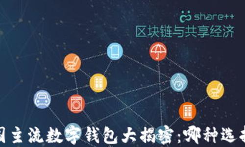 
2023年中国主流数字钱包大揭密：哪种选择最适合你？