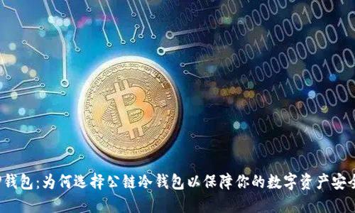TP钱包：为何选择公链冷钱包以保障你的数字资产安全？