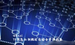 wenziTP钱包私钥概述与安全管理指南