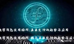 数字钱包使用场所：未来支付的趋势与应用数字