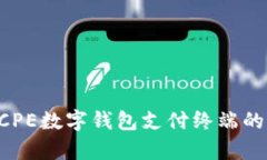 全面解析DCPE数字钱包支付终端的优势与应用