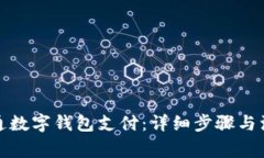 如何开通数字钱包支付：详细步骤与注意事项